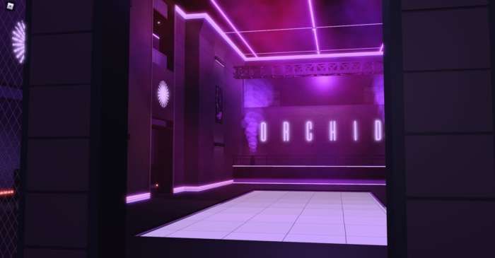 Sunny Miami Nightclub - Image 9