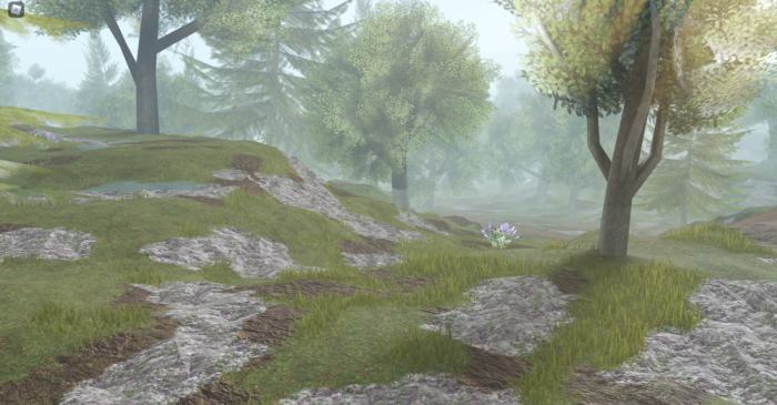 Camp Charles - Image 4